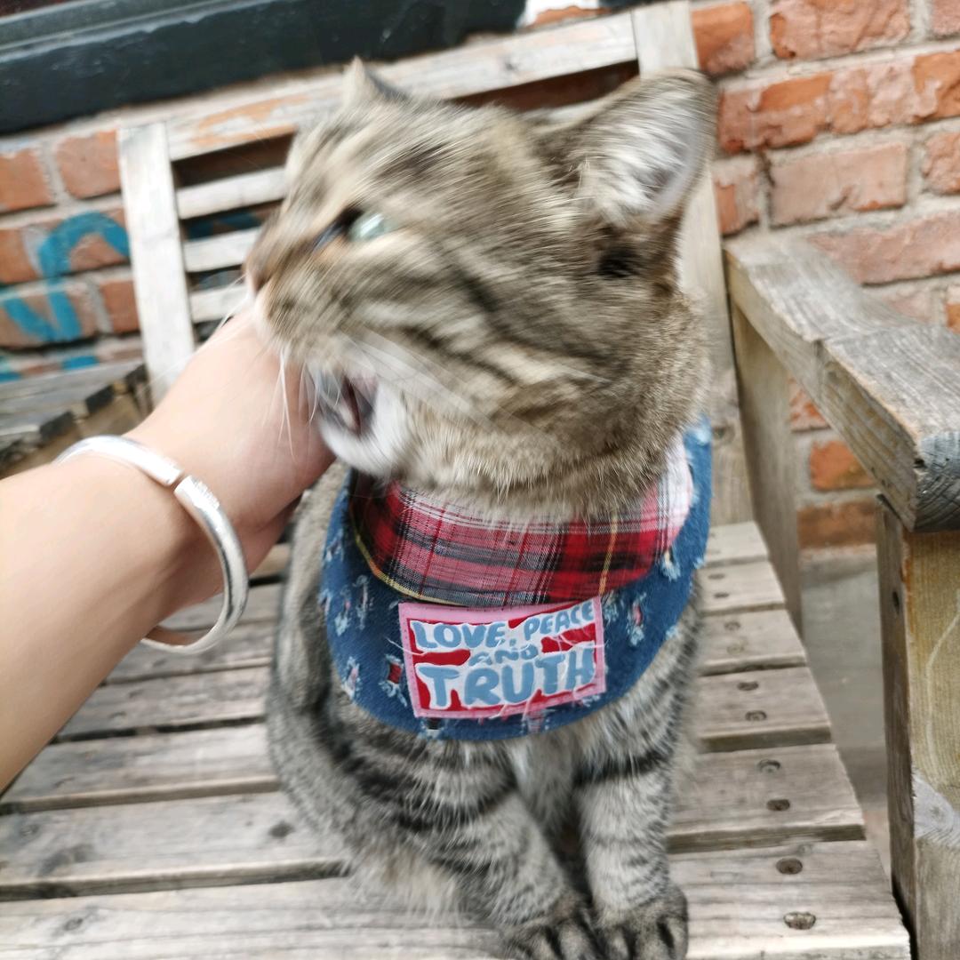 不如看海去
