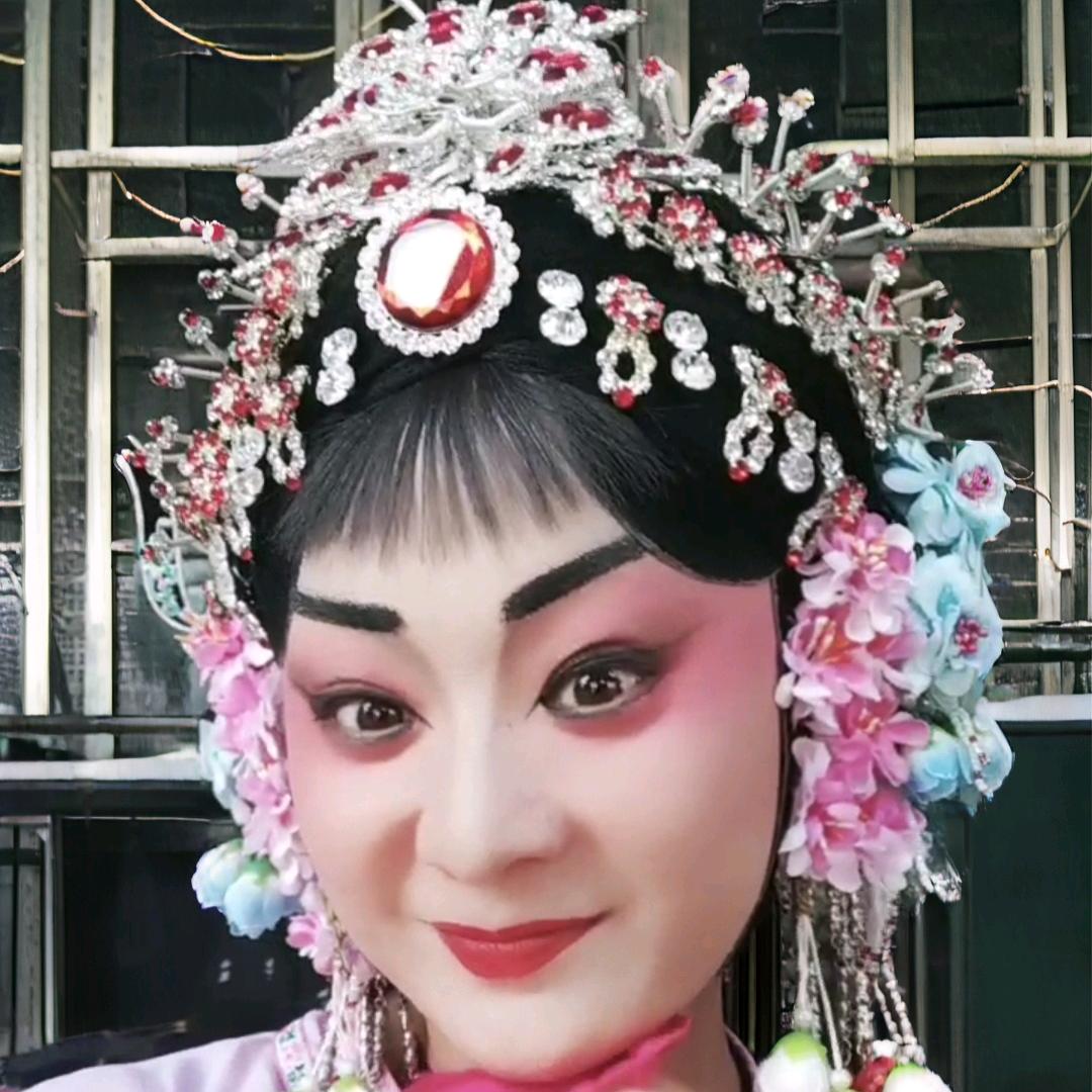林州市豫剧二团（维维）