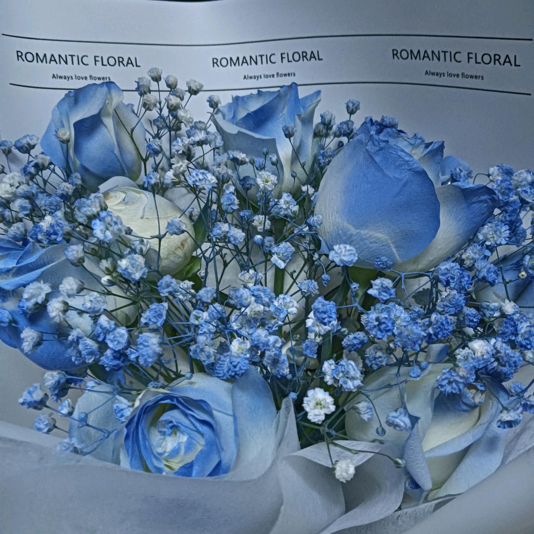 ฅ(♡ơ ₃ơ)ฅ