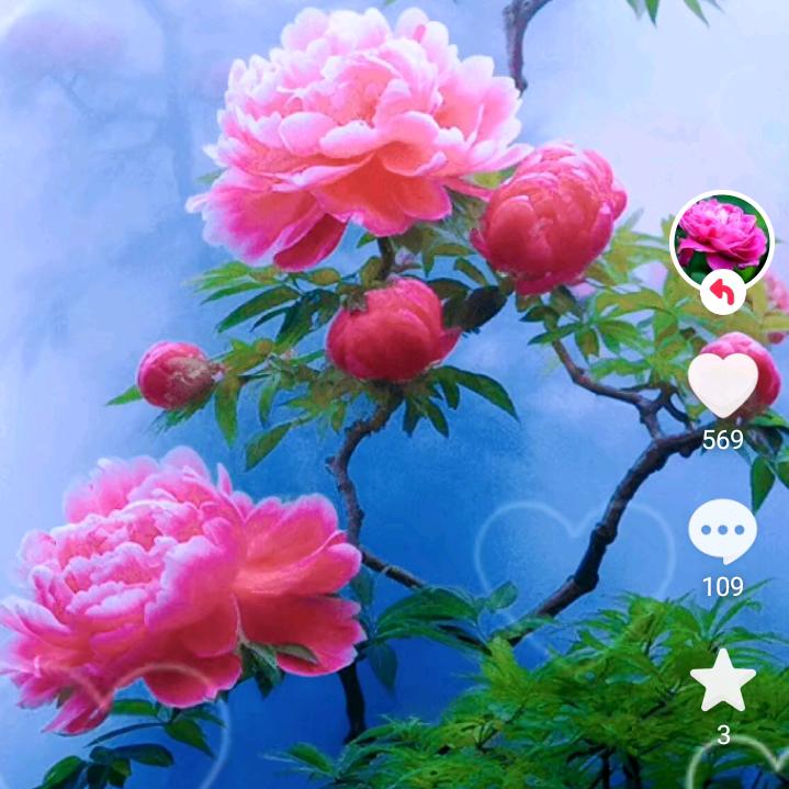 破解残局