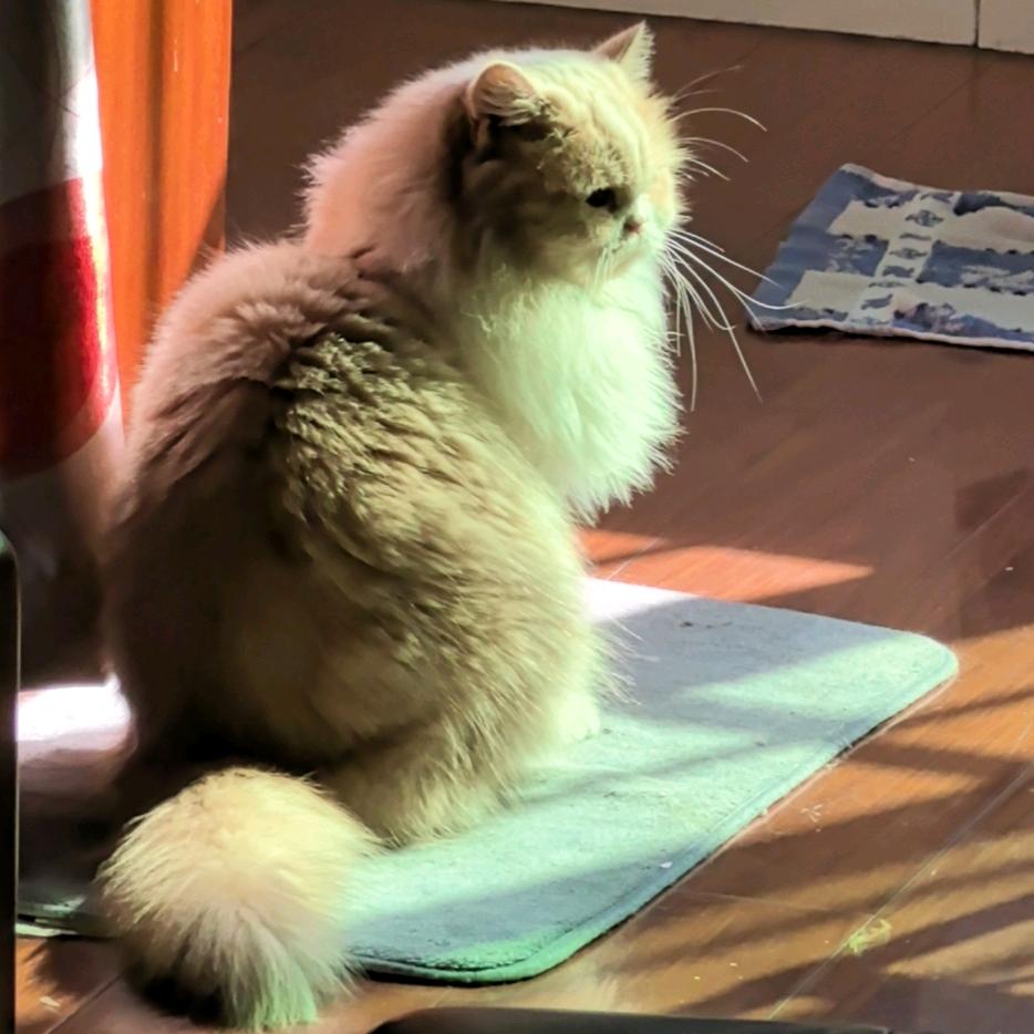 🌈小盒子🍀
