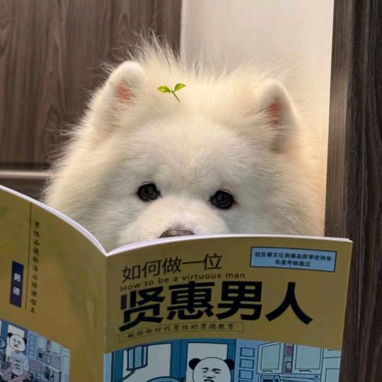 诉情
