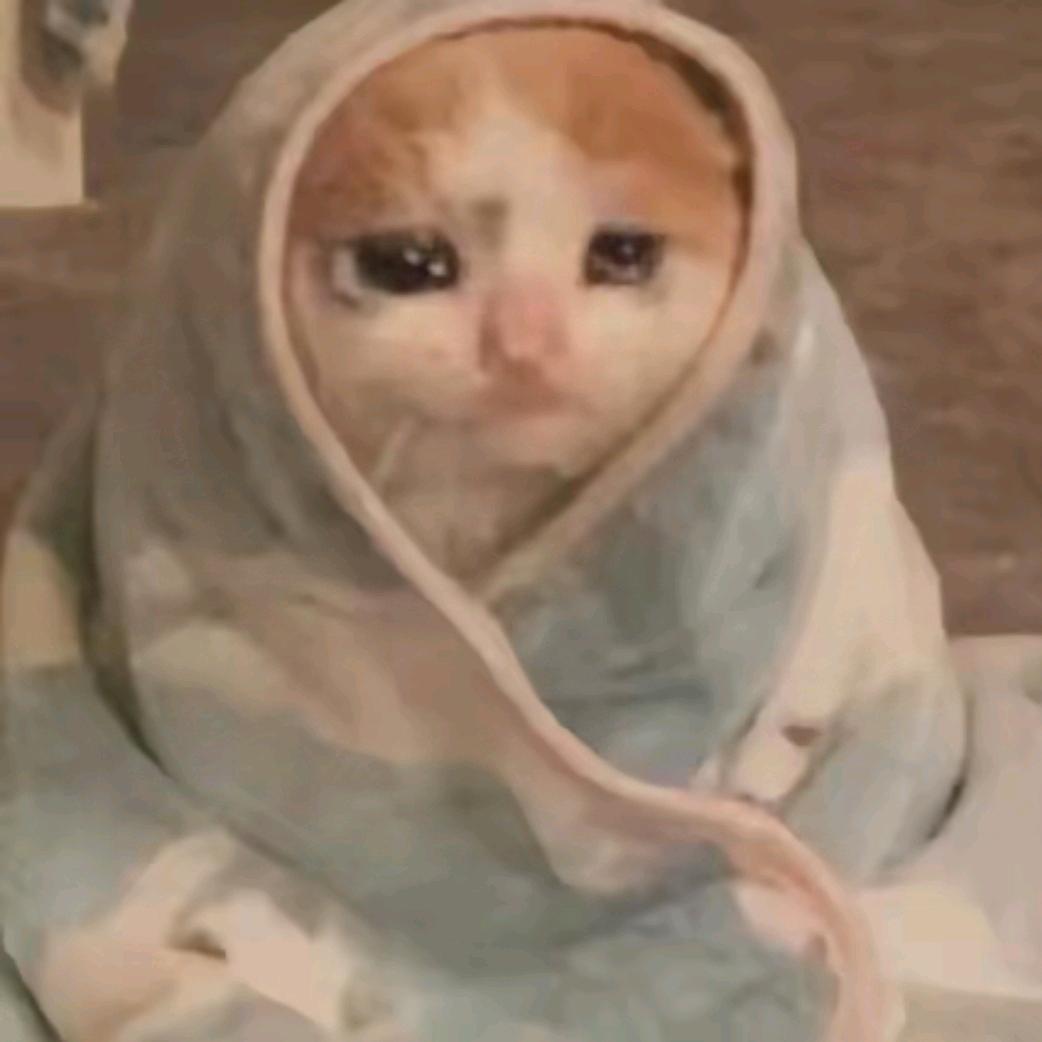 不会打球的土拨鼠୧⍤⃝🏸（成功上船版）