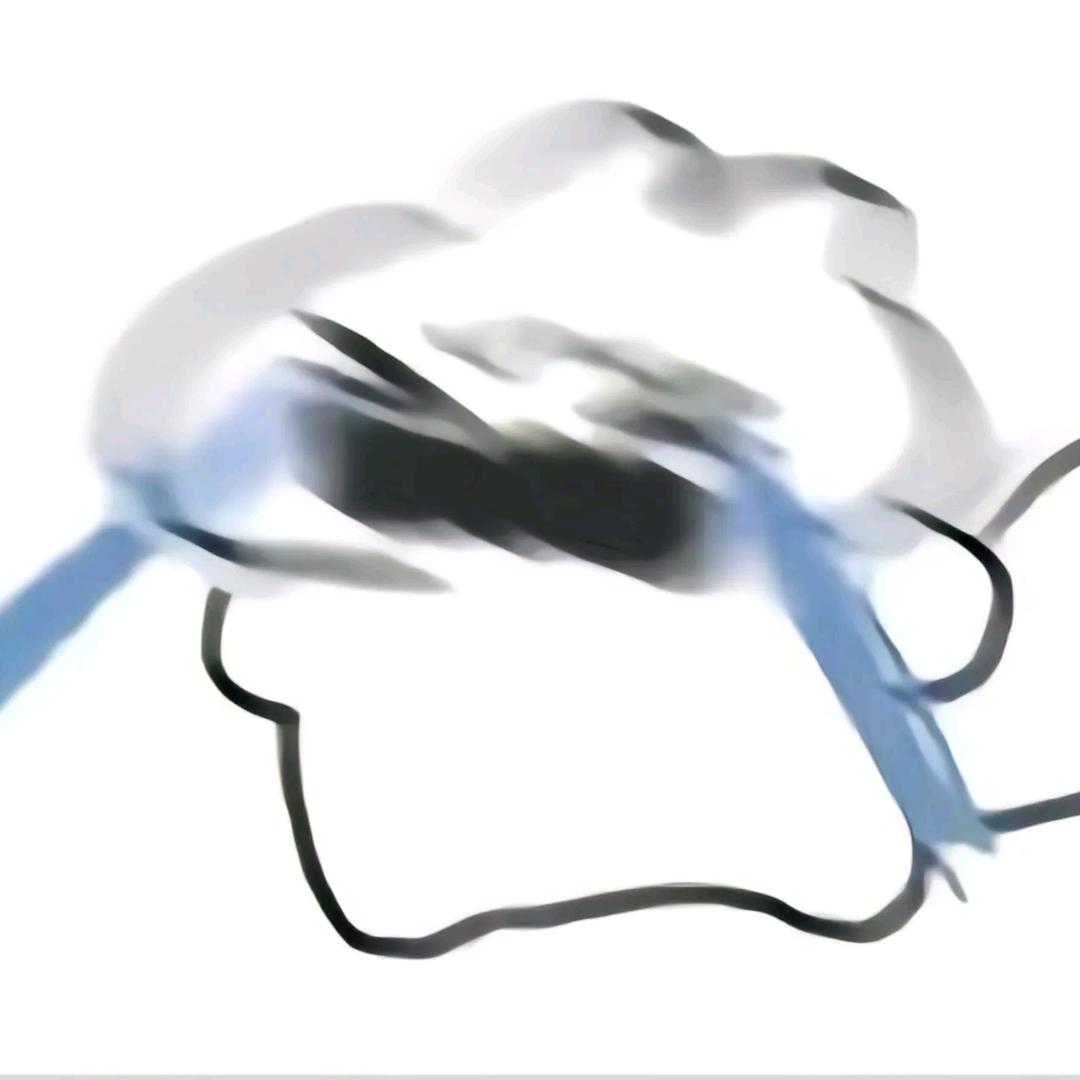 小鸭子(随便拍)