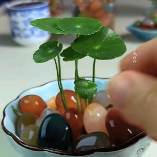 永远有个好心情🌷