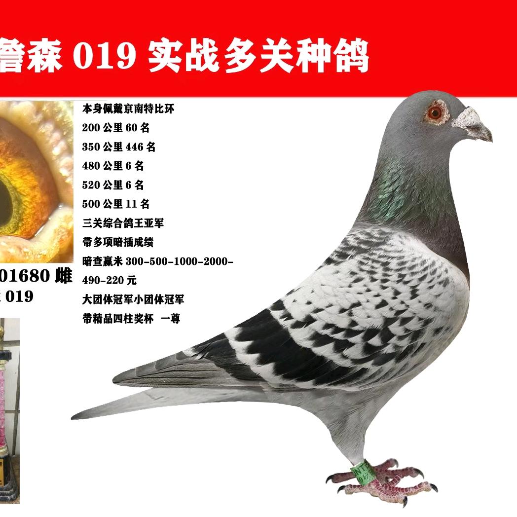 手握强兵悍将，何愁掌上无名