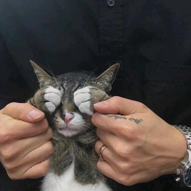 祈水