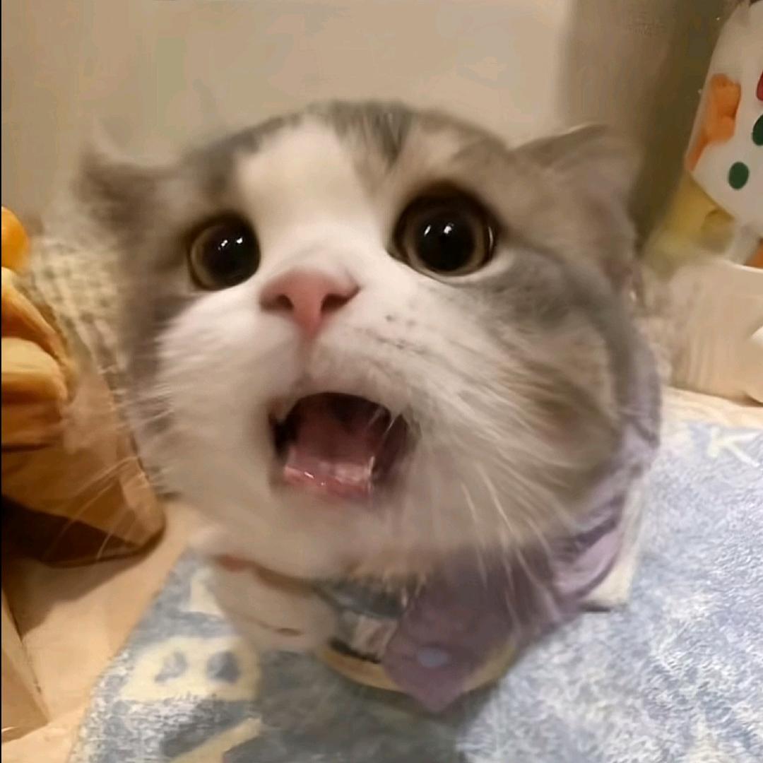 十三.