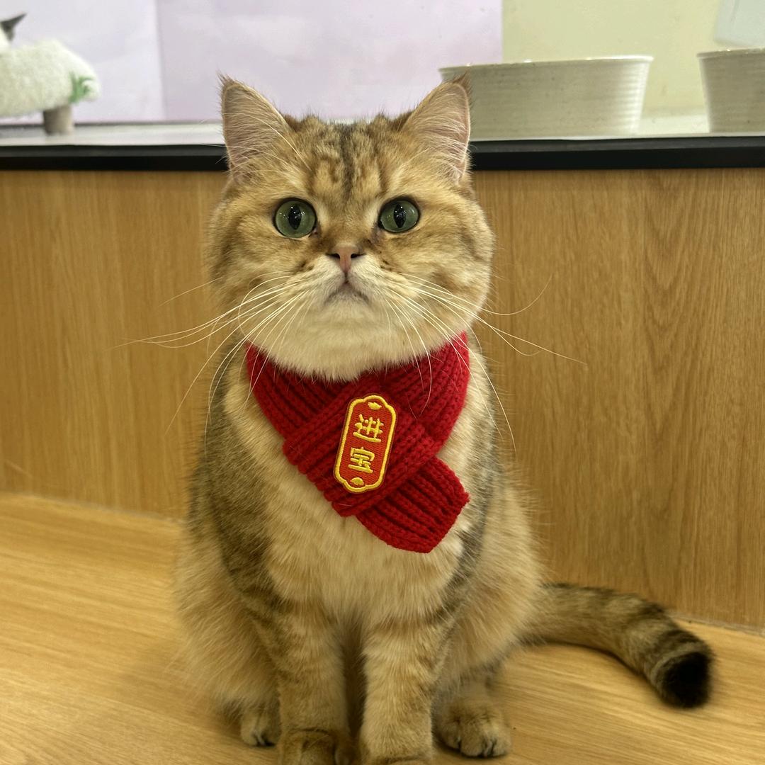 巨起量大店铺嗷嗷