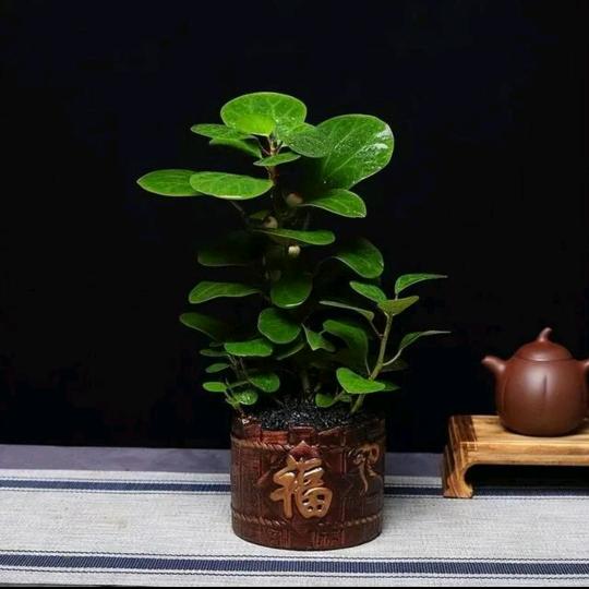 静禅师傅