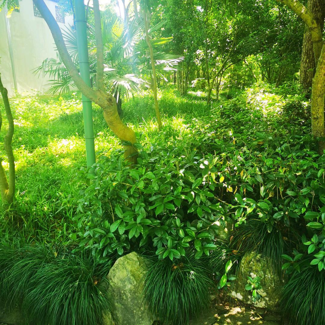 遇事不决问春风