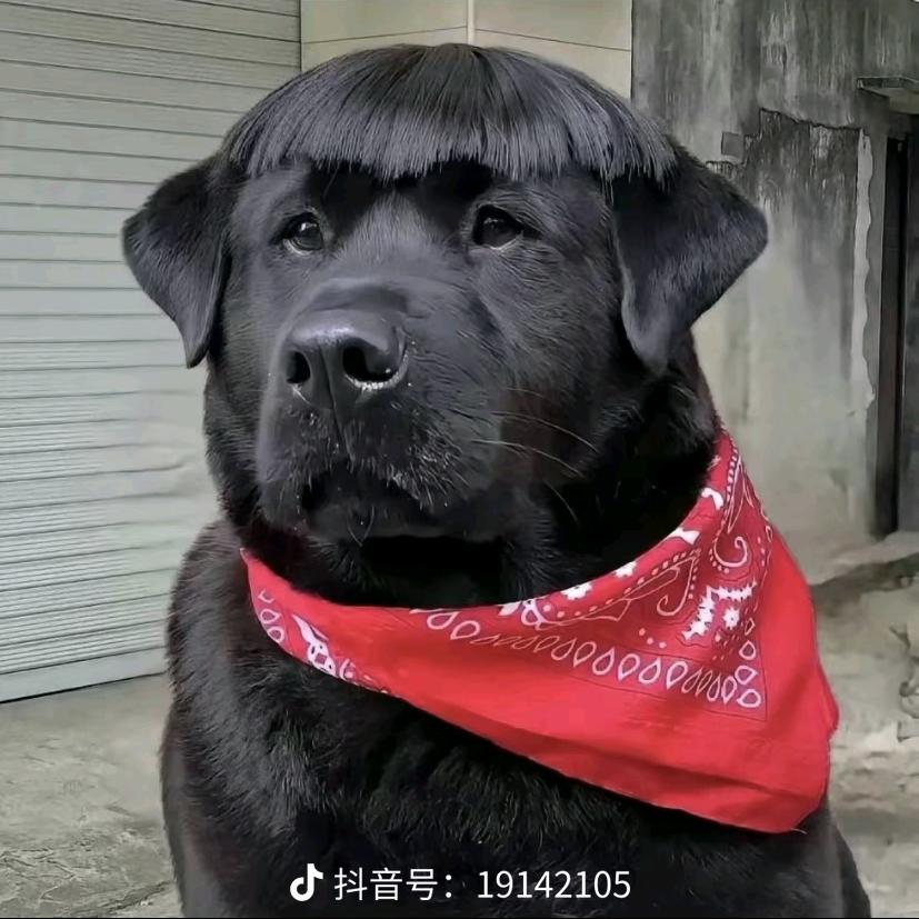 富富有余