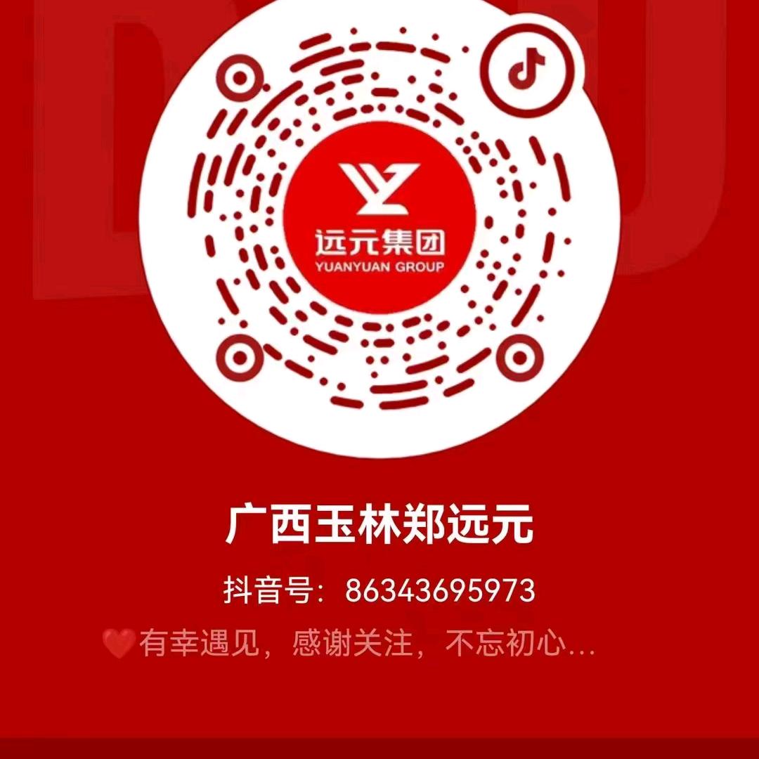 真善美