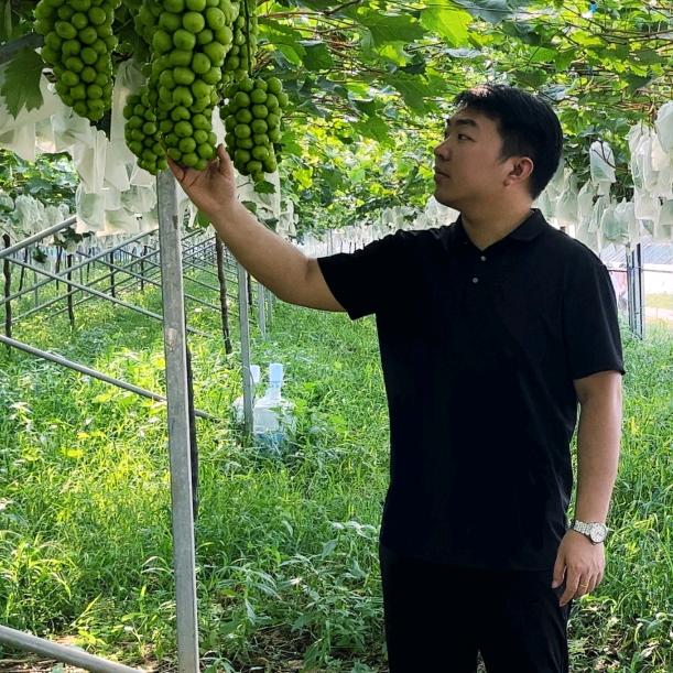 中霖启汇添香厂家店