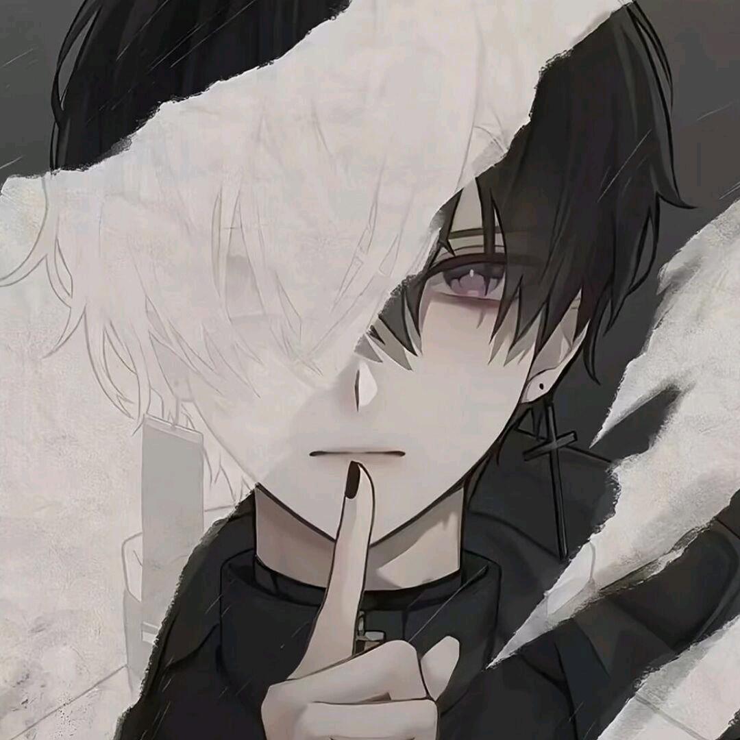 朝暮头像