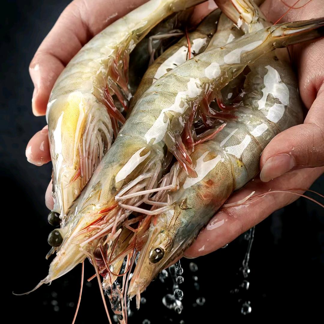 武安小蜜蜂海鲜