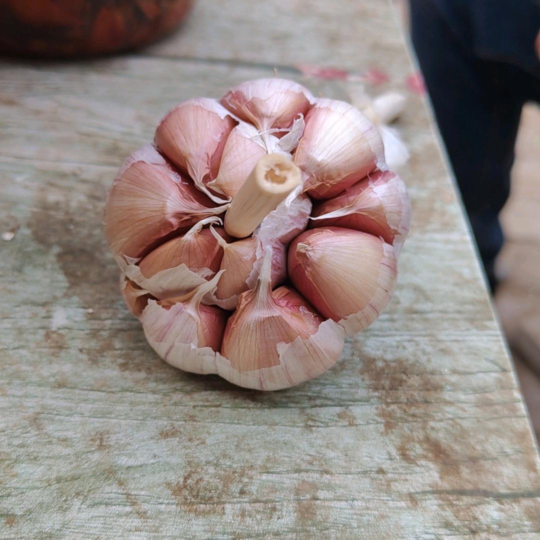 彦博大蒜蔬菜合作社