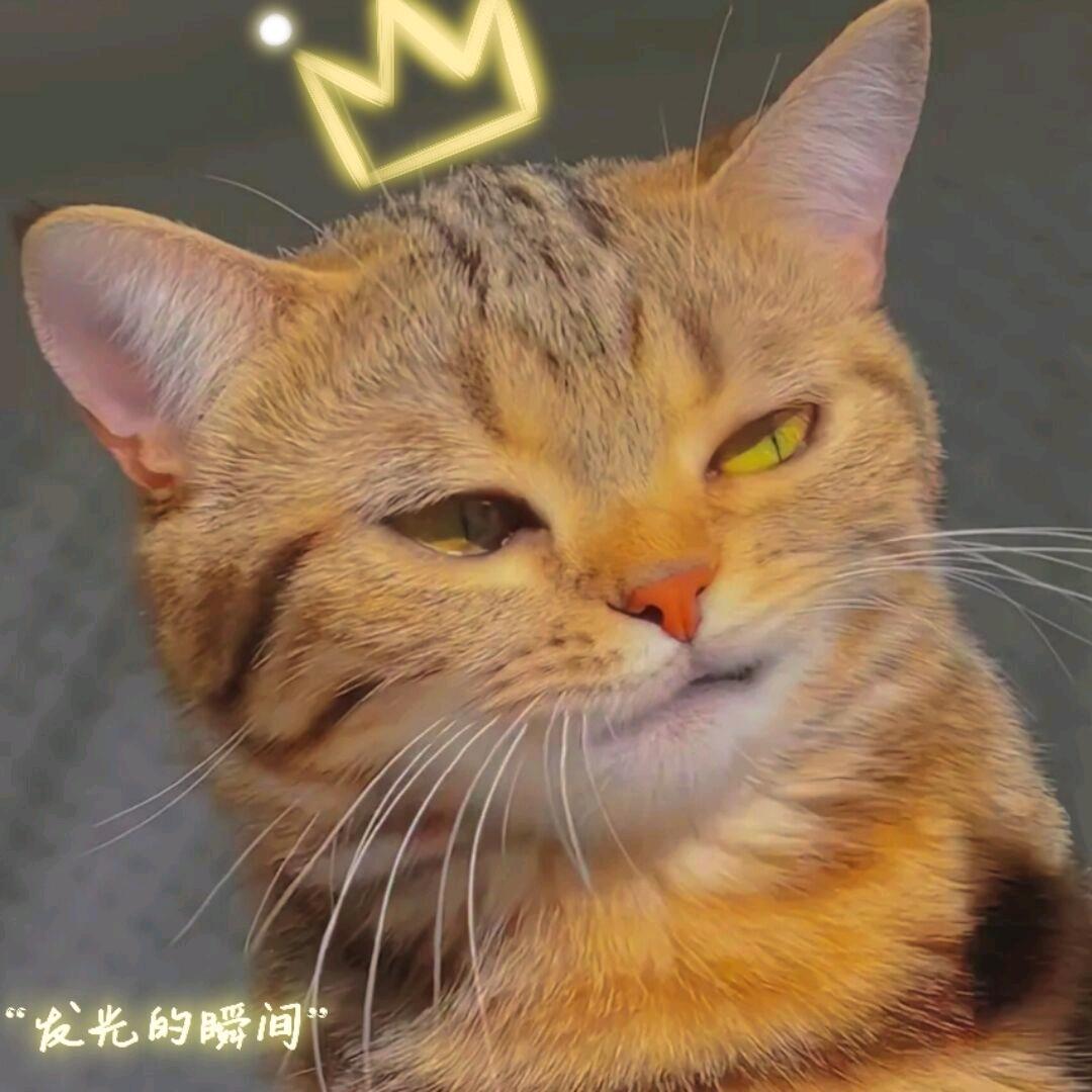 玛卡巴卡咯
