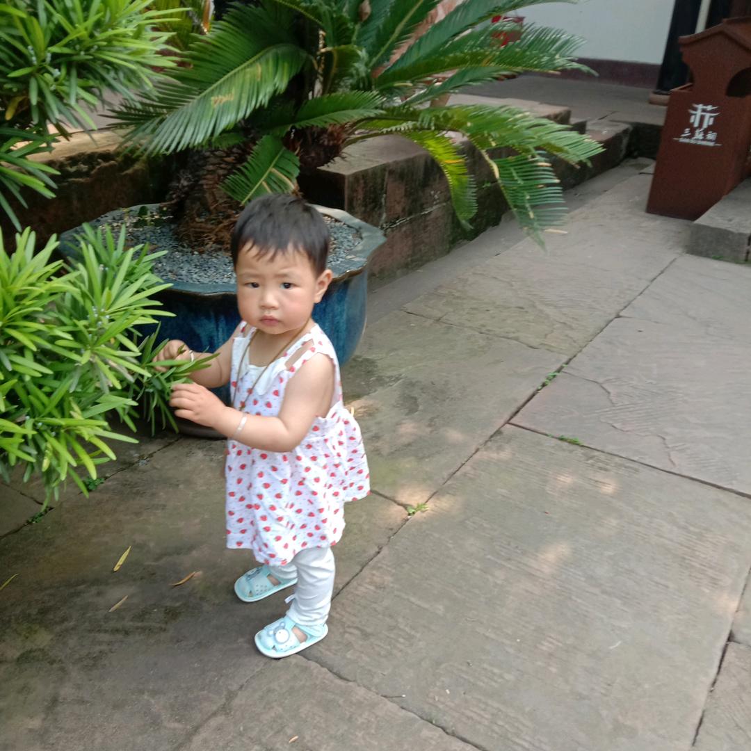 刈正翠