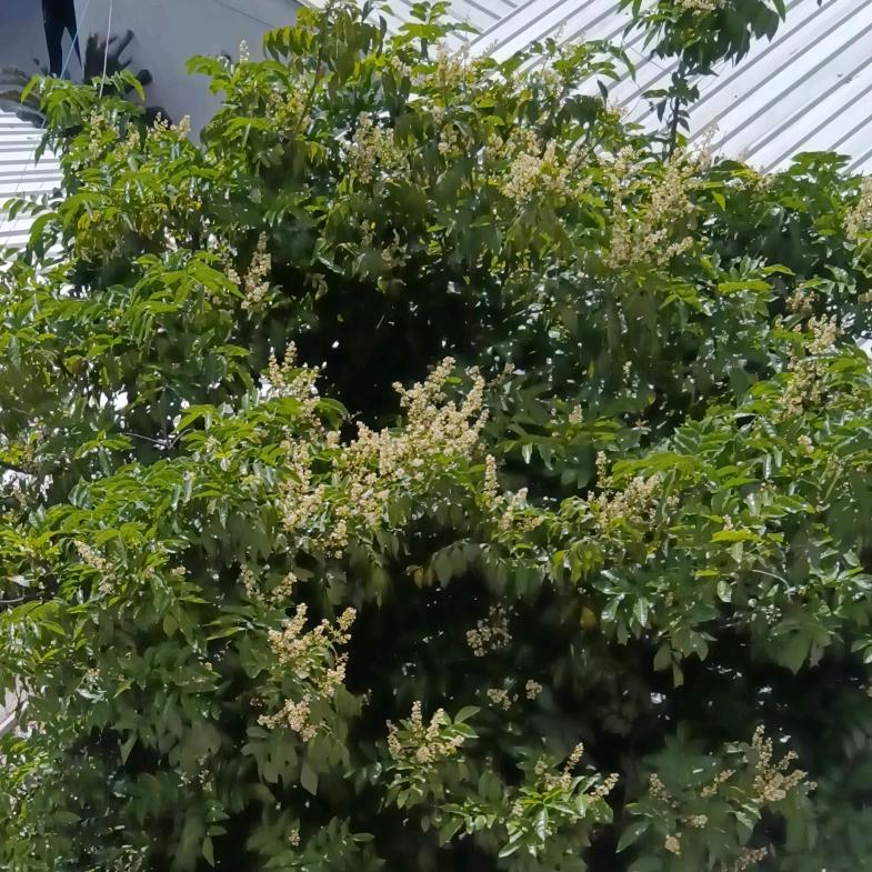 静沐暖阳520