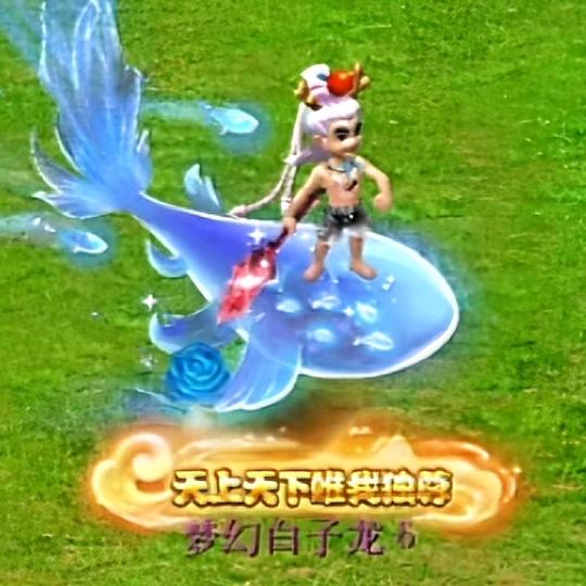 抖音小志