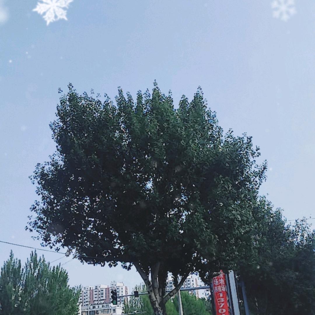 阳光1