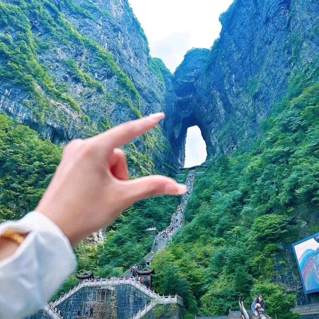 旅游的小猴子