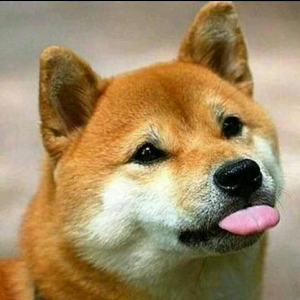 天白