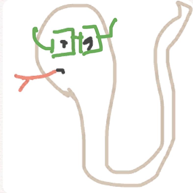 整点薯条