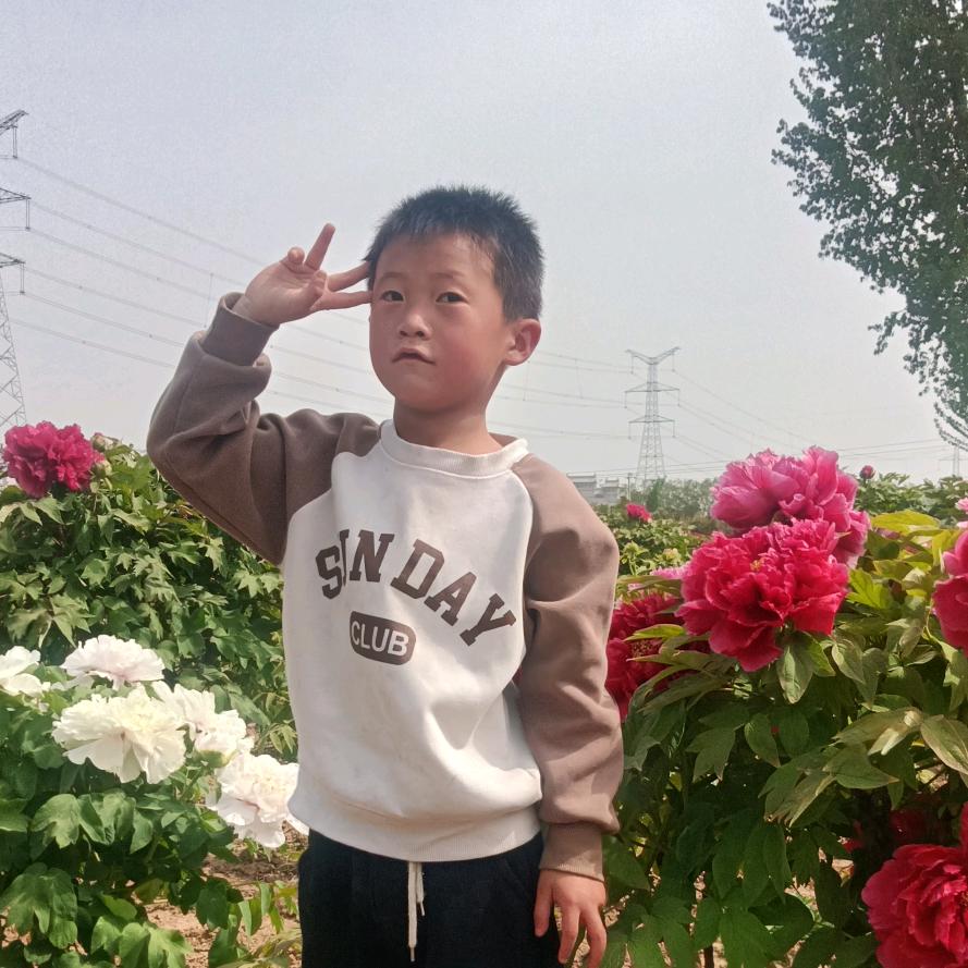 开心的花，吴