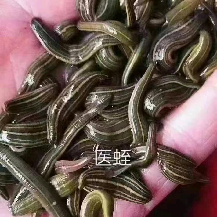 户外探险^_^医治