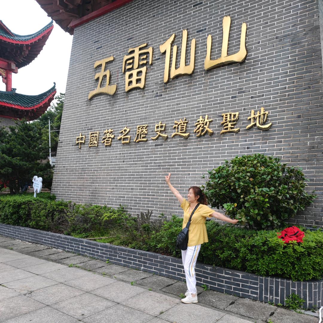 养猪猪的向阿姨