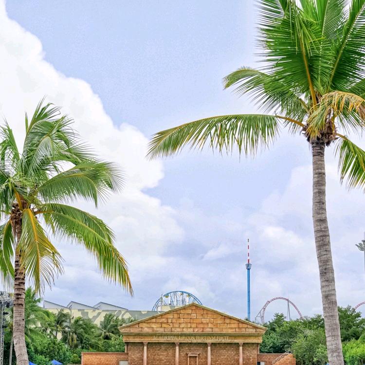 回家的路才是最美的风景