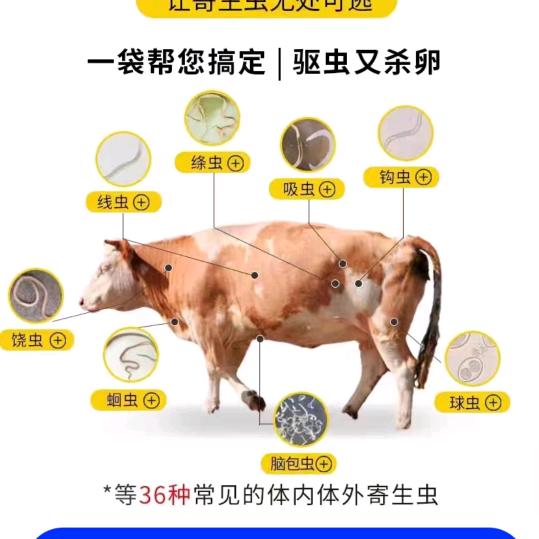 艳姐聊农牧