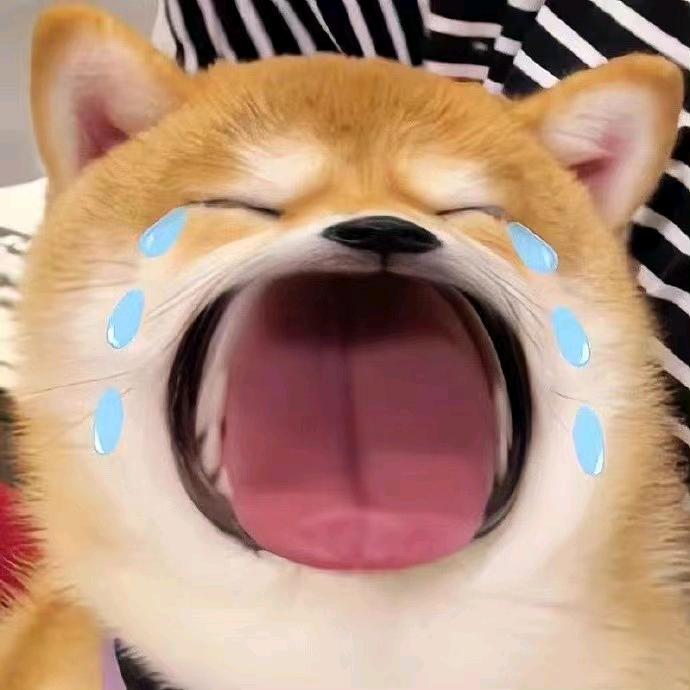 王运龙公考