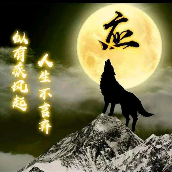 漠迎＆风啸