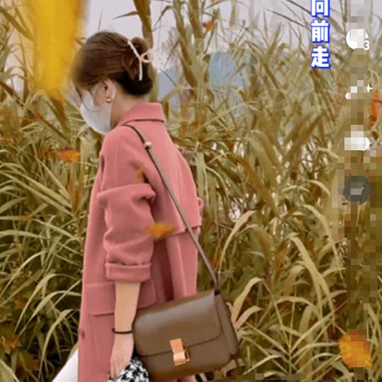 小青菜1
