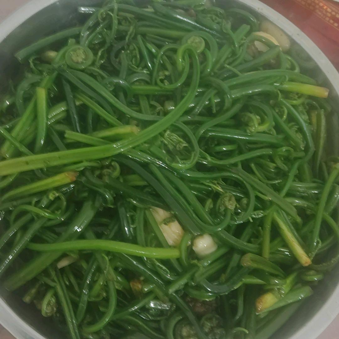 粤语专家