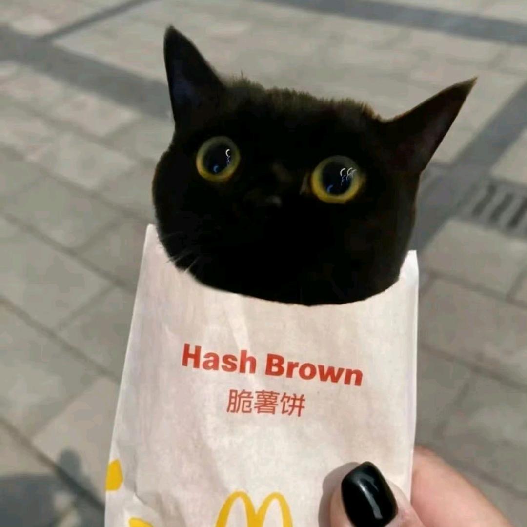 歪宝歪宝