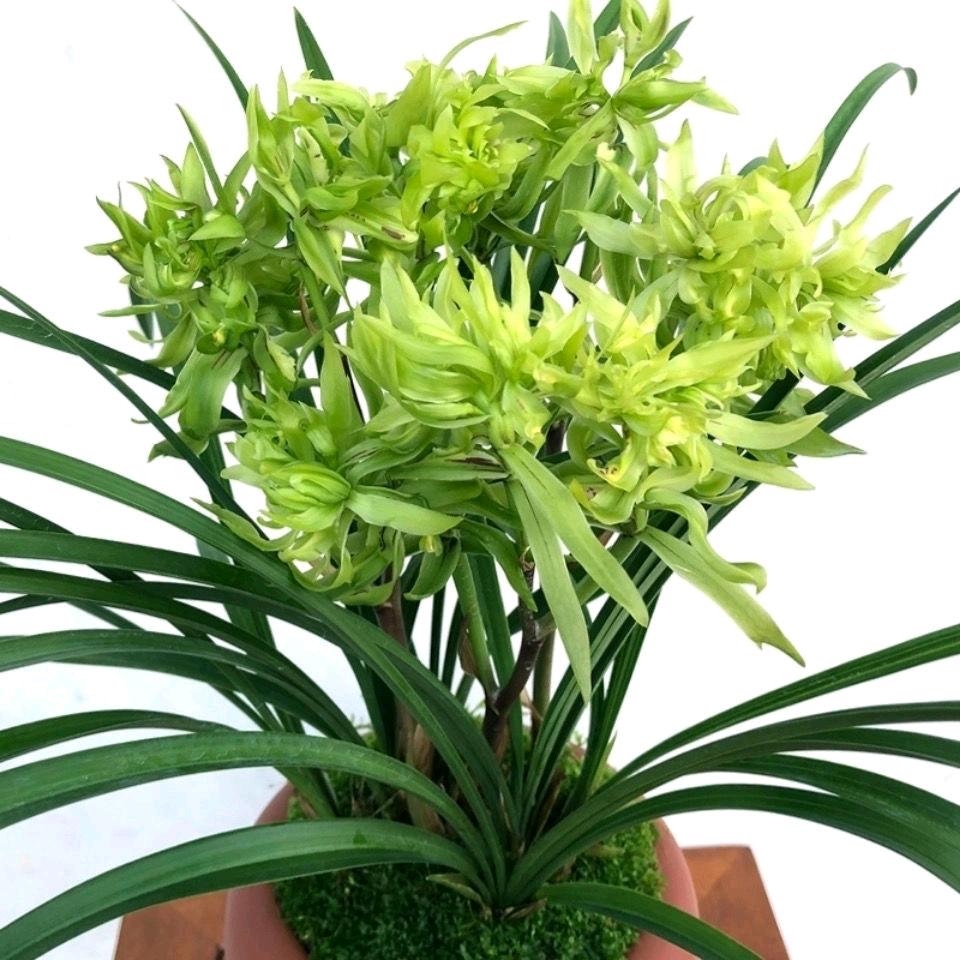 益众花铺