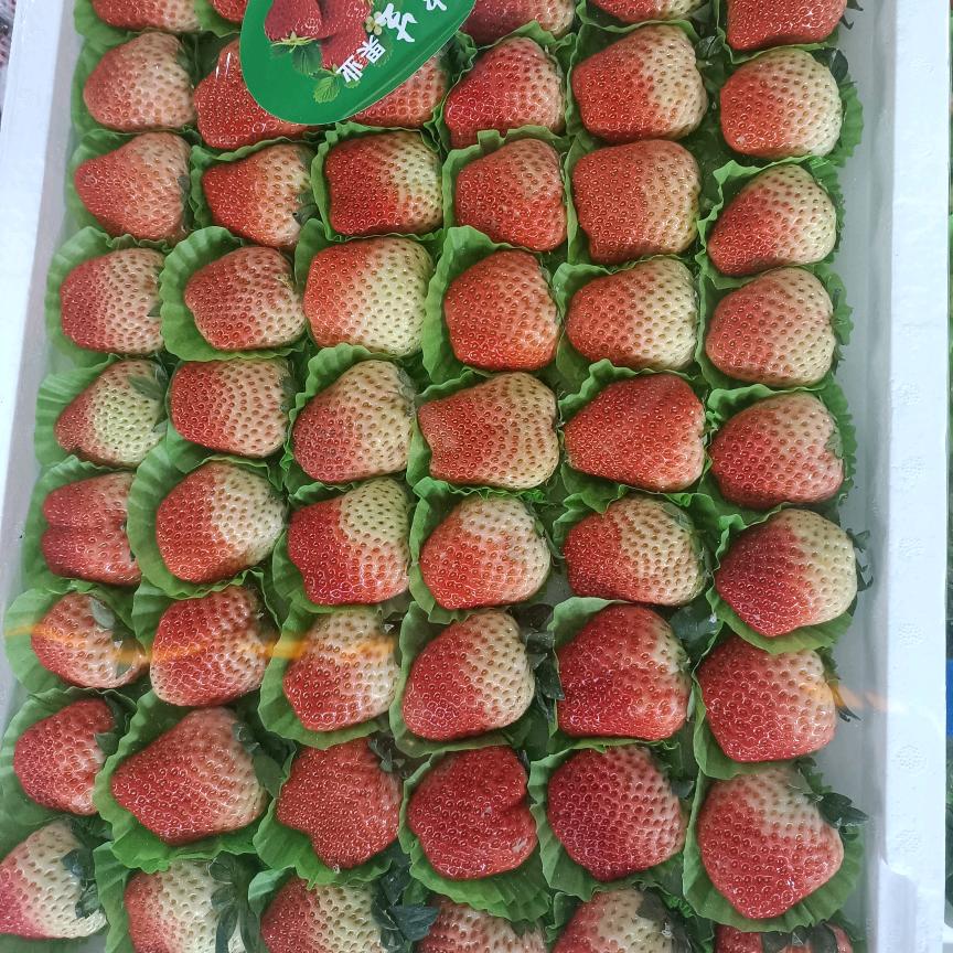 同甘共苦