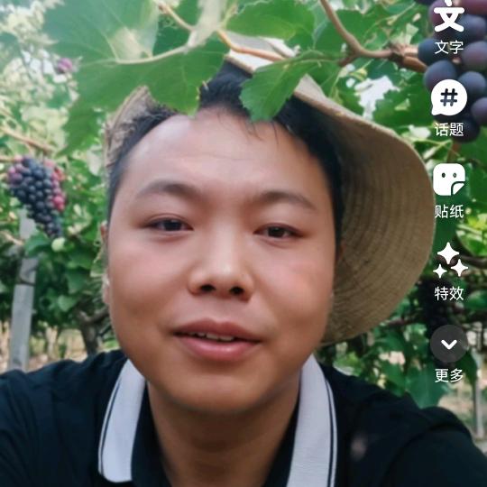 昭通小飞哥（葡萄季）