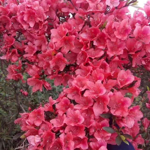 一米阳光