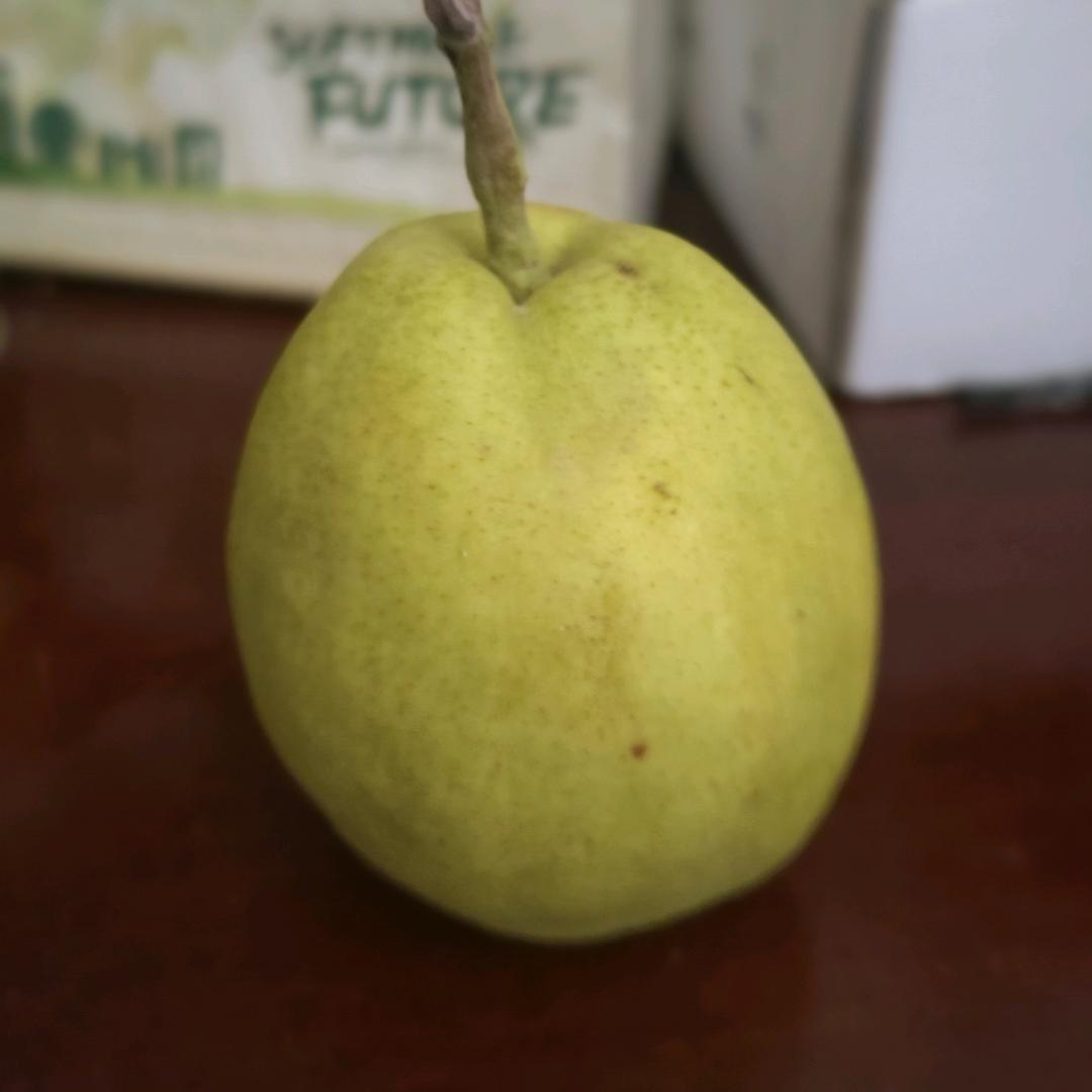 香梨