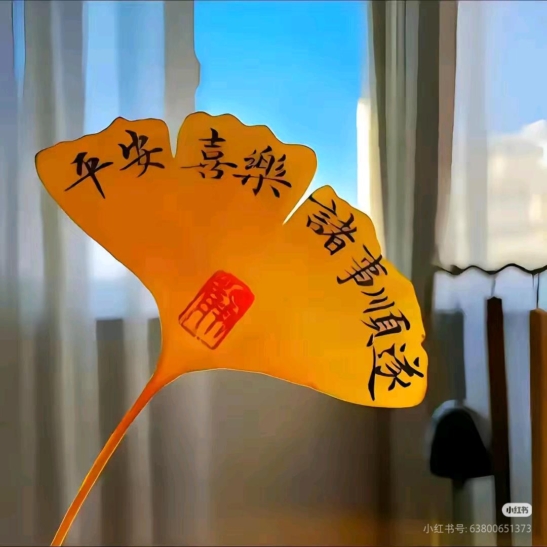 💰爱财໊ 悦己