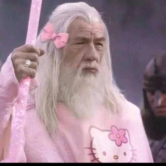 非洲性感大马猴