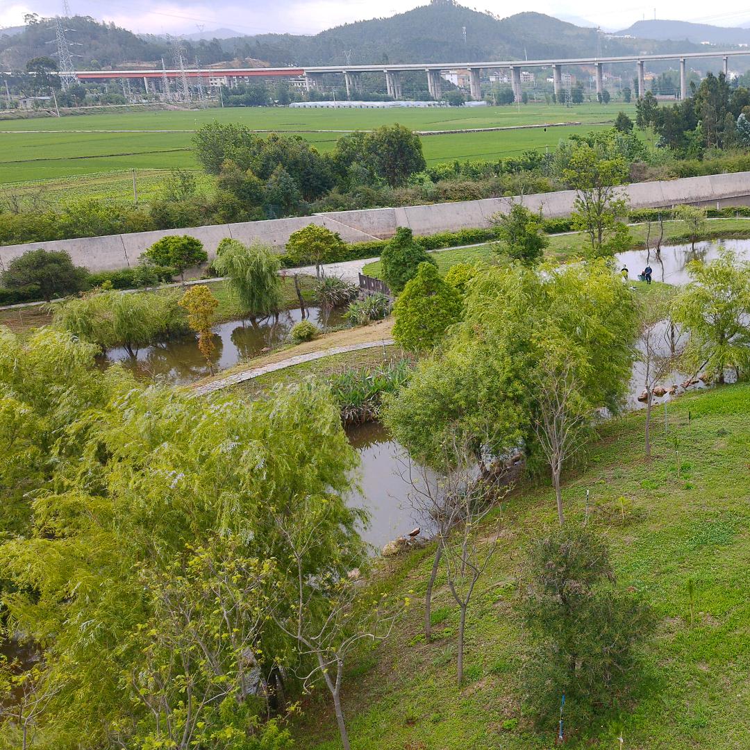 秦时明月g