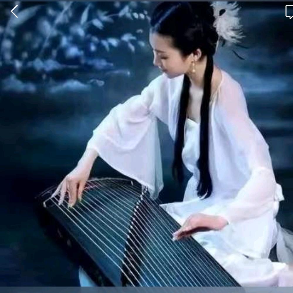 小晴天🌻琴韵乐坊