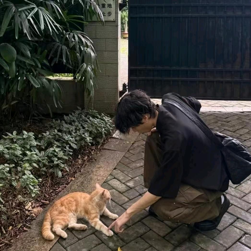 雾绪.