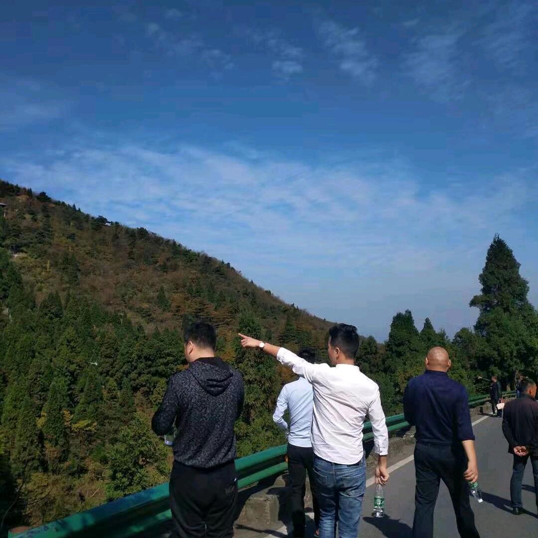 欧☀️林